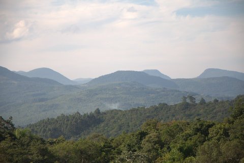 DSC_1110