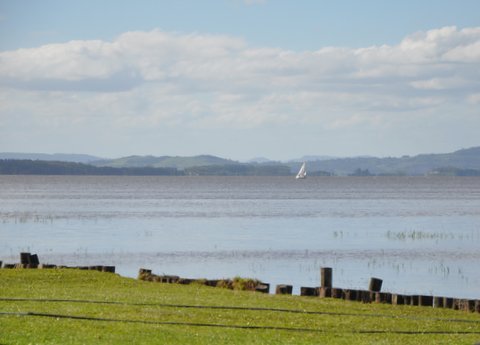 DSC_0164