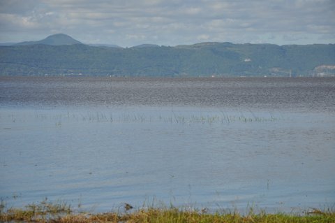 DSC_0171